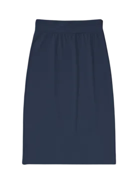 Gonna Penna Skirt in Atlantic